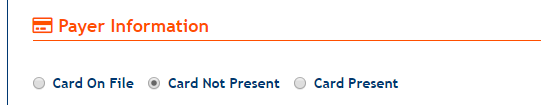 make A Payment page